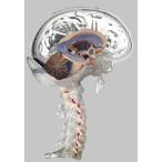 ̵�������� �о����� ���ॽ�� Ʃ���ʣ���ʬ��Ǿ�Ϸ� bs25t 蝹�  �Ϸ�