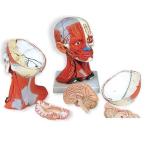 ̵�������� �о����� 3B��  �����Ϸ� ��Ƭ�������Ϸ� Ƭ�������ζ�3/4���硦5ʬ���ǥ�Ǿ�� (c05) �� 蝹�  �Ϸ�