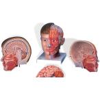 ̵�������� �о����� 3B��  �����Ϸ� ��Ƭ�������Ϸ� Ƭ��������4ʬ���ǥ�衼���åѻ��� (c07) �� 蝹�  �Ϸ�