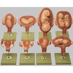 ̵�������� �о����� ���ॽ�� ǥ���ҵܷв��Ϸ� ms12 蝹�  �Ϸ�