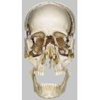 ̵�������� �о����� ���ॽ�ҡ�Ƭ����ʬ���Ϸ� qs9 蝹�  �Ϸ�