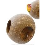  солнечный ko- здесь house 9994157