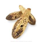  длиннохвостый попугай попугай игрушка красное дерево Pod ( 1 шт ) 9994530 BIRDMORE bird moa птица ..toli птица сопутствующие товары TOY