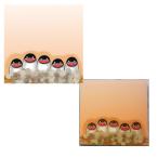 ma........ Mini блокнот для заметок tsubame053A0233 кошка pohs соответствует возможность BIRDMORE bird moa птица сопутствующие товары птица товары 