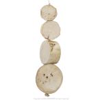 WESCO PET BIRD KABOB ( bird ka Bab ) grande 9997485 BIRDMORE bird moa птица сопутствующие товары птица товары птица ..toli длиннохвостый попугай документ птица подарок 