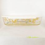 いろ鳥 -IRODORI-   ガラス保存容器・�