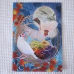  клен ателье A4 прозрачный файл *... месяц праздник документ птица * белый,sinamon,sinamon пирог do,ino202A0438 кошка pohs соответствует возможность BIRDMORE bird moa CRAFT GARDEN птица сопутствующие товары 