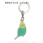 aoamo umbrella маркер (габарит) se регулирование длиннохвостый попугай Rainbow кошка pohs соответствует возможность BIRDMORE bird moa 