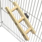 o черепаха .......... тонкий длиннохвостый попугай жердочка лестница лестница BIRDMORE bird moa 