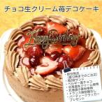 ケーキ スイーツ バースデーケーキ お誕生日ケーキ チョコ生苺ケーキ5号
