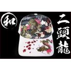 ポイント10倍 帽子88白 和柄ちりめんキャップ 龍 桜 刺繍 メッシュ縮緬悪羅悪羅系 オラオラ系 ヤンキー 派手 チンピラ ヤクザ