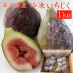 お歳暮ギフト2022にも！ 石川県能登産 冷凍いちじく（イチジク）1kg 送料無料