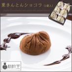 [ новый ..(SHINKINEDO)] каштан .... шоколад 6 шт ( японские сладости подарок )