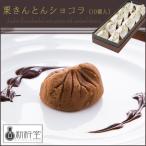 [ новый ..(SHINKINEDO)] каштан .... шоколад 10 шт ( японские сладости подарок )