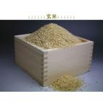 新潟栄産自家製 令和7年産 コシヒカリ 玄米 (10kg×2) 20kg 新米100% BKS-020 送料無料