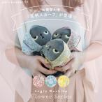 o надеты изменение для цветочный принт шарф Anne Gree вставка ko цветок Angry Machiko Flower цветочный принт шарф симпатичный надеты . изменение подарок винт k