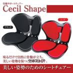 骨盤サポートチェア セシルシェイ�