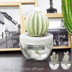カクタス フレグランスディフューザー ダルトン Cactus Fragrance Diffuser Dulton