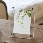 茶谷産業 アクリルフォトフレーム 750-002