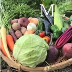  локва озеро .. делать овощи ..M размер окружающая среда нагрузка немного сельское хозяйство закон овощи комплект сельское хозяйство дом прямая поставка 