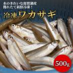 天然 琵琶湖 の ワカサギ 500g 冷凍 調理用 滋賀県産 魚友商店 送料無料