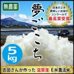 米 お米 5kg 夢ごこち 無農薬 令和5年