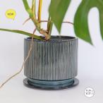 植木鉢 おしゃれ ブルーラインポット 受皿付 8号鉢 陶器鉢 セラミック鉢 径24cm 高22cm 底穴あり
