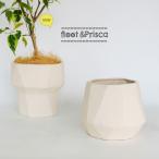  горшок покрытие модный керамика свободный to/pli ska низ дыра нет белый горшок 