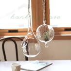 HANKING BASE DROP テラリウム ガラス 吊り下げ ハンキング おしゃれ