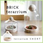 BRICK terarrium short テラリウム 多肉植物 ガラス温室