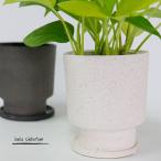 植木鉢 おしゃれ 陶器鉢 イオニアシンボトムM 受皿付 かわいい 鉢径12cm 高13cm ホワイト グレー 底穴あり