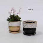 植木鉢 陶器鉢 おしゃれ ファナS 受皿付 径11cm 高10cm 薄緑 ベージュ 赤茶 アニマル柄