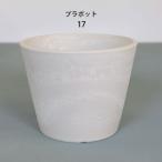  pra горшок белый pot 17 кактус крепкий модный . корень растения много мясо пластик горшок ko- Dex 