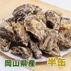 殻付き生牡蠣 岡山県 邑久産 | 半缶約60個(5-6kg) ナイフ、軍手付き 生食可 送料無料 カキ かき 牡蠣 殻付き牡蠣 生食用 一斗缶