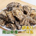 【訳あり小粒殻付き牡蠣】 岡山県 邑久産 曙牡蠣 | 一斗缶250個以上(10kg) ナイフ 軍手付き 生食可  殻付き カキ 殻付き牡蠣