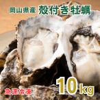 殻付き牡蠣 岡山県虫明産 急速冷凍 殻付き牡蠣 | 10kg(約100個) ■ 送料無料 殻付き牡蠣 殻付き カキ かき 牡蛎 一斗缶サイズ 牡蠣 海鮮 バーベキュー BBQ