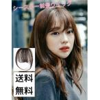 前髪ウィッグ 自然 ２タイプ４カラー エクステ シースルーバング つけ毛 クリップ式 耐熱 和装 成人式 ブライダル