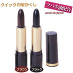 白髪染め もみあげ ヘアカラー 通販 価格比較 価格 Com