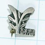  бесплатная доставка ) средняя школа расширение память значок PINS булавка zA13962