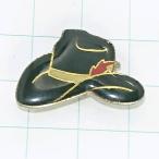  бесплатная доставка ) шляпа шляпа импорт значок булавка zPINS A25571