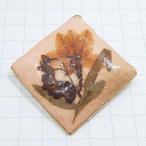  бесплатная доставка ) Vintage * засушенный цветок * античный брошь A29256