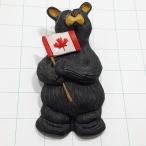  бесплатная доставка ) Canada misi SaGa медведь путешествие туристический память импорт значок булавка zPINS A29495