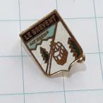  бесплатная доставка ) Франция лыжи resort ru* пятно Van импорт значок булавка zPINS A33336