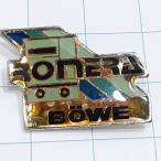  бесплатная доставка )ronela беж ve Германия чистка оборудование производитель импорт значок булавка zPINS A34289