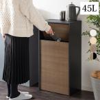 ゴミ箱ダストボックス45L45リッ...