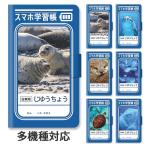 スマホケース 手帳型 手帳型ケース iphone15 iphone14 iphoneSE iphone13 自由帳 学習帳 海の生き物 カワウソ イルカ アザラシ スタンド式 ベルトあり