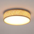 モダン ペンダントライト LED シーリング シャンデリア フェザー ペンダントランプ 口金 E27 110V-120V 北欧 照明器具 おしゃれ 室内照明 天井照明 リビング