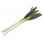  бесплатная доставка [ утро рынок прямой line ] China производство длина лук порей 1 шт. примерно 125g x2 шт. комплект [ рефрижератор ] включая доставку 