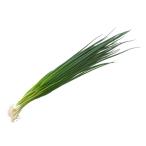  бесплатная доставка [ утро рынок прямой line ] Ooita префектура другой маленький лук порей ( универсальный лук порей ) ( пакет ) примерно 100g x2 шт. комплект [ рефрижератор ] включая доставку 