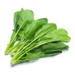 [ утро рынок прямой line ] Gunma префектура другой шпинат ( пакет ) примерно 170g~200g x6 шт. комплект [ рефрижератор ]